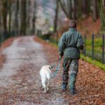 walking down a road with a dog in fall